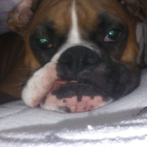 Meet your Posher, Breanna